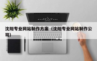 池州沈阳专业网站制作方案（沈阳专业网站制作公司）